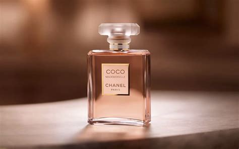 chanel musky perfume|coco chanel perfume scent.